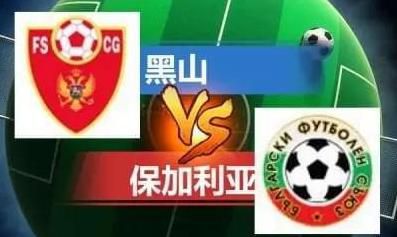 埃及猫原视频