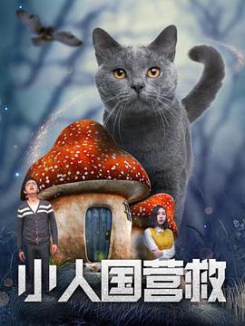 亚洲精品视频久久