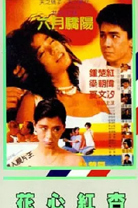 在线精品国产一区二区