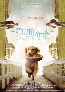 瘦女的味道