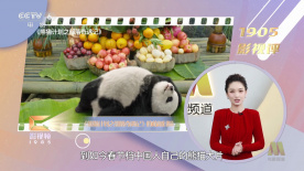 亚洲成a人不卡在线观看